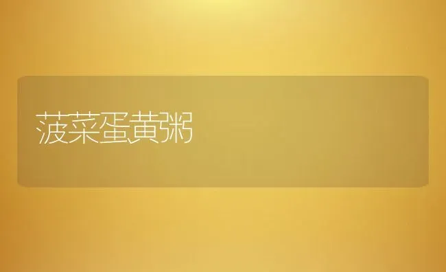 菠菜蛋黄粥 | 养殖资讯