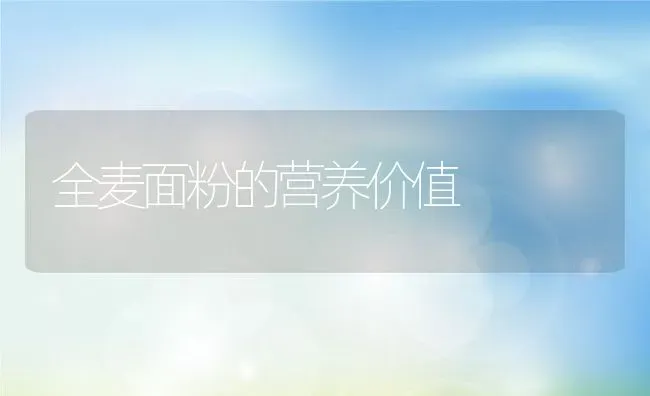 全麦面粉的营养价值 | 养殖资料投稿