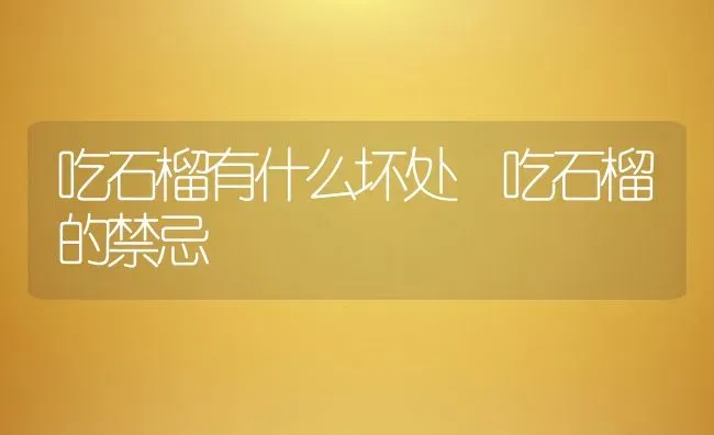 吃石榴有什么坏处 吃石榴的禁忌 | 养殖资料投稿