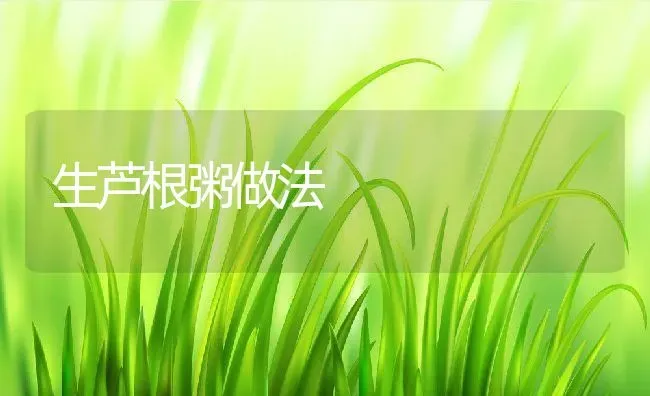 生芦根粥做法 | 养殖资料投稿