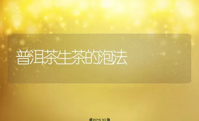 普洱茶生茶的泡法 | 养殖资料投稿