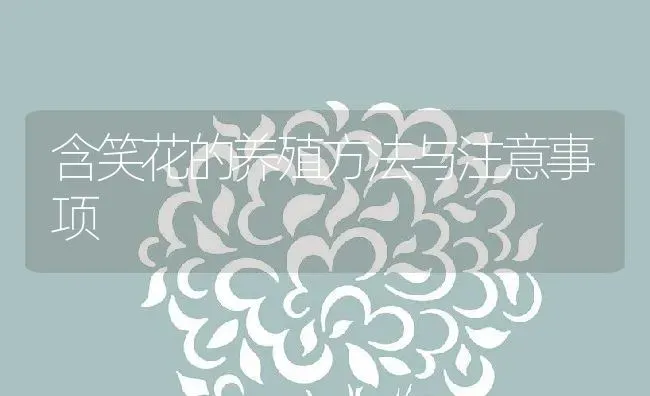 含笑花的养殖方法与注意事项 | 养殖资料投稿