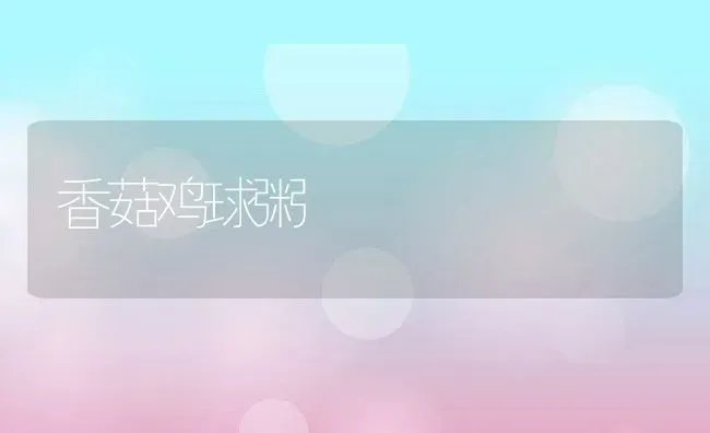 香菇鸡球粥 | 养殖资料投稿
