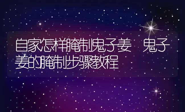 自家怎样腌制鬼子姜 鬼子姜的腌制步骤教程 | 养殖资料投稿