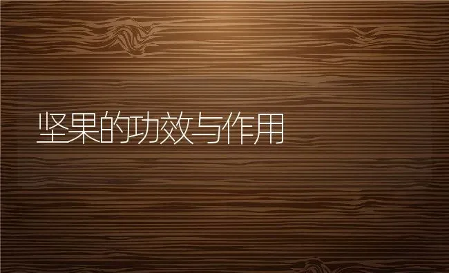 坚果的功效与作用 | 养殖资料投稿