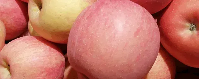 红富士苹果树修剪技术