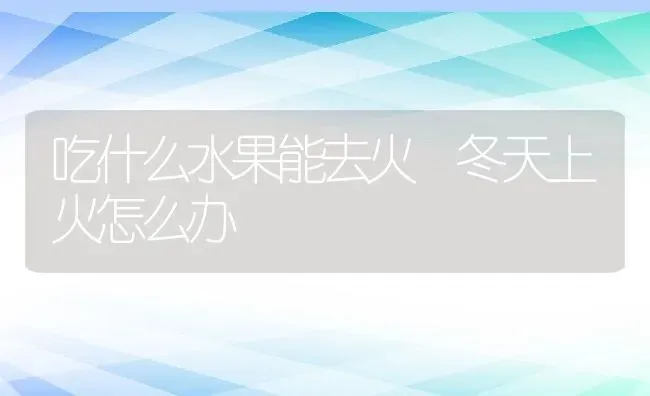 吃什么水果能去火 冬天上火怎么办 | 养殖资料投稿