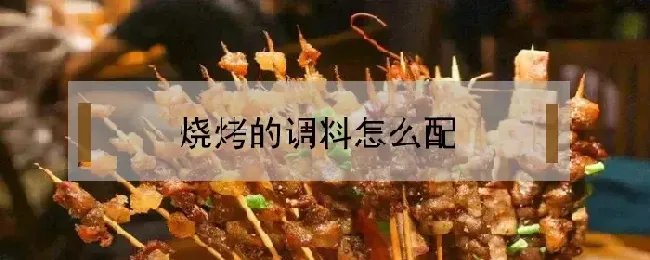 烧烤的调料怎么配