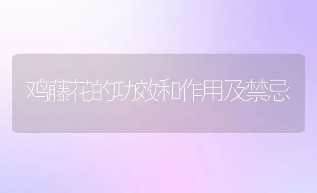 鸡藤花的功效和作用及禁忌 | 养殖资料投稿