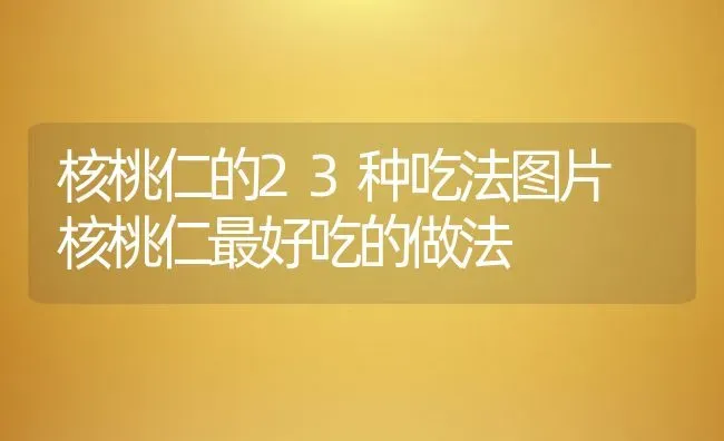 核桃仁的23种吃法图片 核桃仁最好吃的做法 | 养殖资料投稿