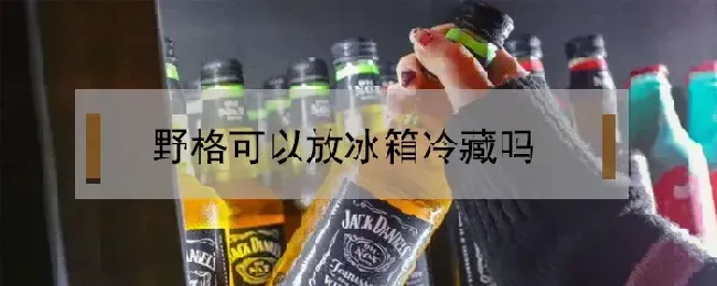 野格可以放冰箱冷藏吗