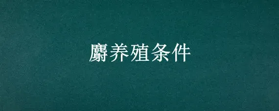 麝养殖条件
