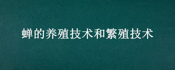 蝉的养殖技术和繁殖技术