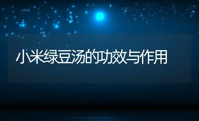 小米绿豆汤的功效与作用 | 养殖资料投稿