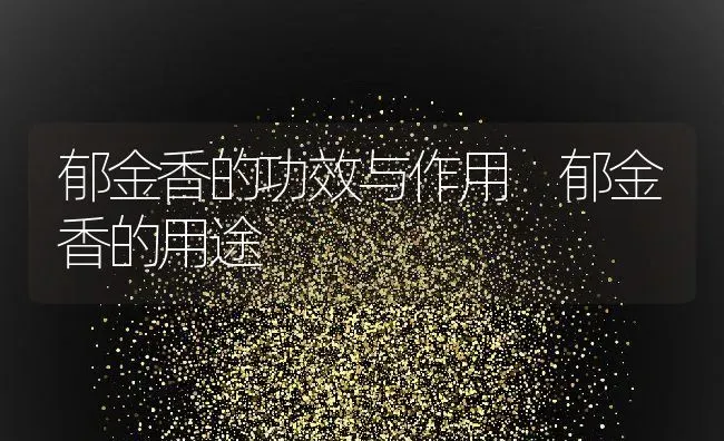 郁金香的功效与作用 郁金香的用途 | 养殖资料投稿