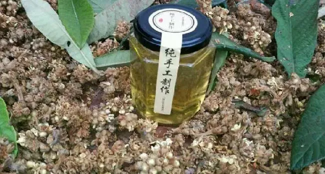 正宗枇杷蜜多少钱一斤