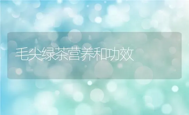 毛尖绿茶营养和功效 | 养殖资料投稿