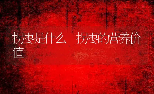 拐枣是什么 拐枣的营养价值 | 养殖资料投稿