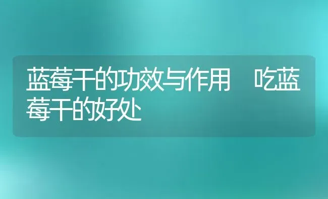 蓝莓干的功效与作用 吃蓝莓干的好处 | 养殖资料投稿