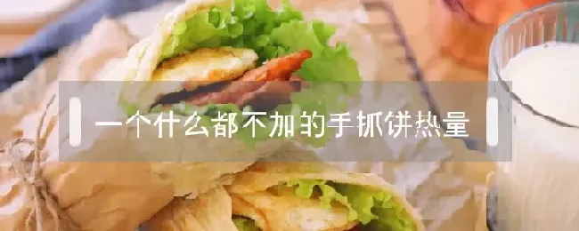 一个什么都不加的手抓饼热量