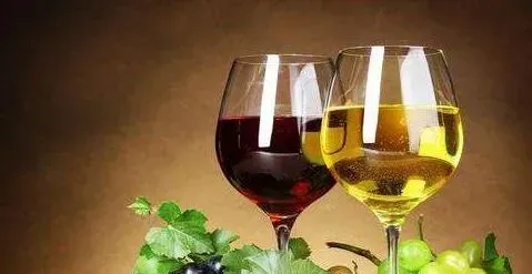 白葡萄酒和红酒哪个好