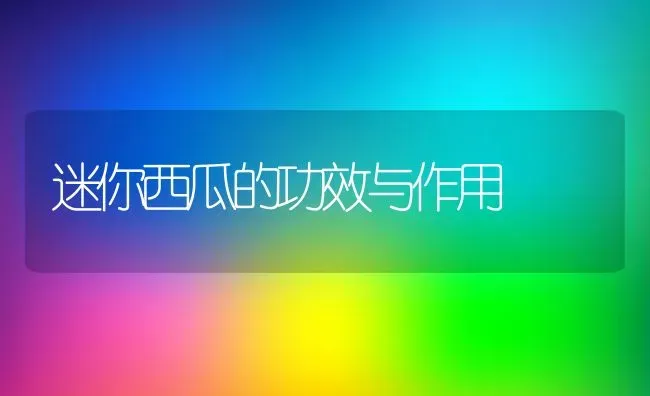 迷你西瓜的功效与作用 | 养殖资料投稿