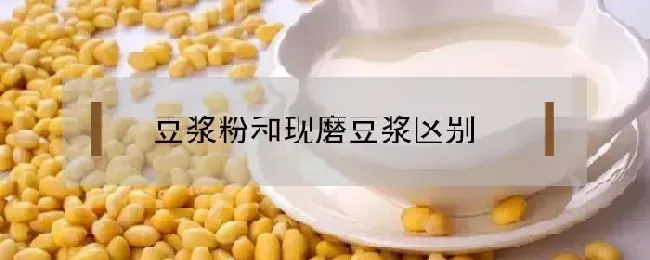 豆浆粉和现磨豆浆区别在哪里？