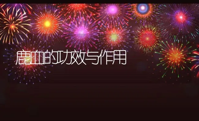 鹿血的功效与作用 | 养殖资料投稿
