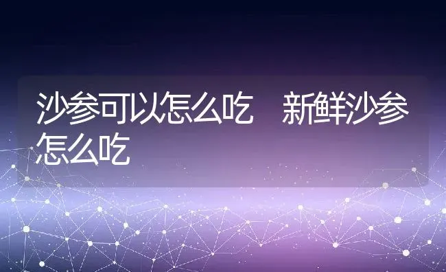 沙参可以怎么吃 新鲜沙参怎么吃 | 养殖资料投稿