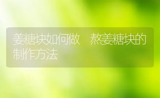 姜糖块如何做 熬姜糖块的制作方法 | 养殖资料投稿