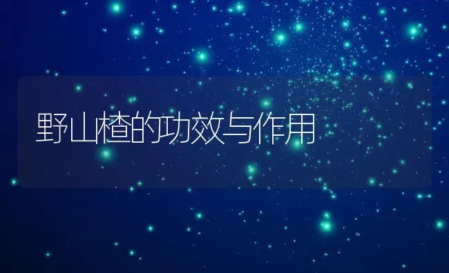 野山楂的功效与作用 | 养殖资料投稿