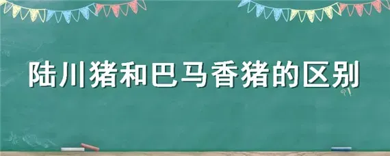 陆川猪和巴马香猪的区别