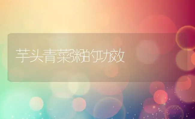 芋头青菜粥的功效 | 养殖资料投稿