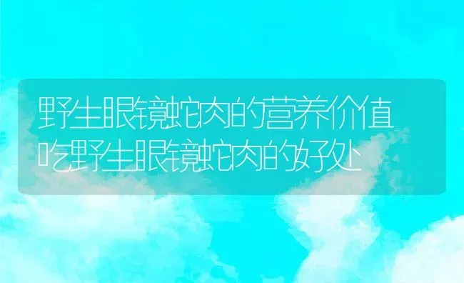 野生眼镜蛇肉的营养价值 吃野生眼镜蛇肉的好处 | 养殖资料投稿
