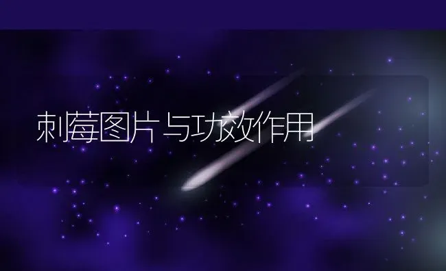 刺莓图片与功效作用 | 养殖资料投稿