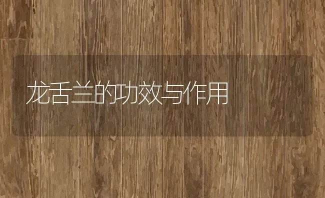 龙舌兰的功效与作用 | 养殖资料投稿