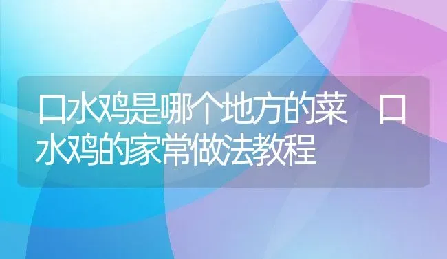 口水鸡是哪个地方的菜 口水鸡的家常做法教程 | 养殖资料投稿