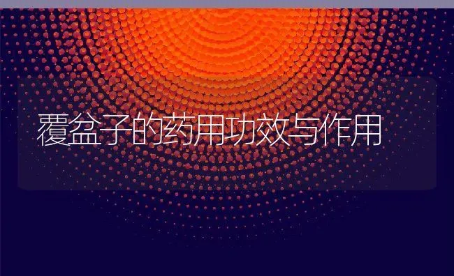 蜂蜜柠檬的腌制方法 蜂蜜柠檬腌制几天能喝 | 养殖资料投稿