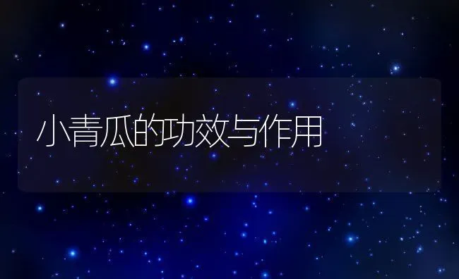 小青瓜的功效与作用 | 养殖资料投稿