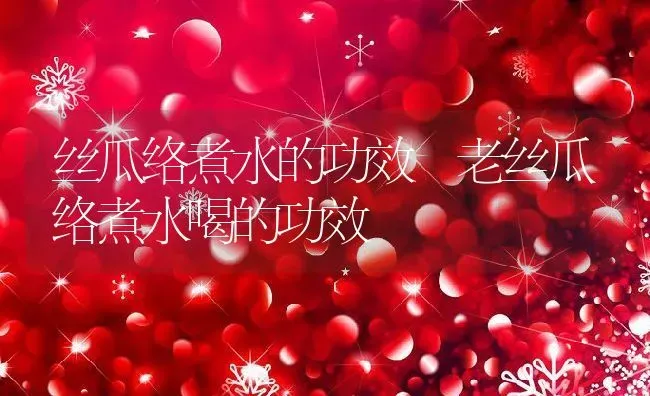 丝瓜络煮水的功效 老丝瓜络煮水喝的功效 | 养殖资料投稿