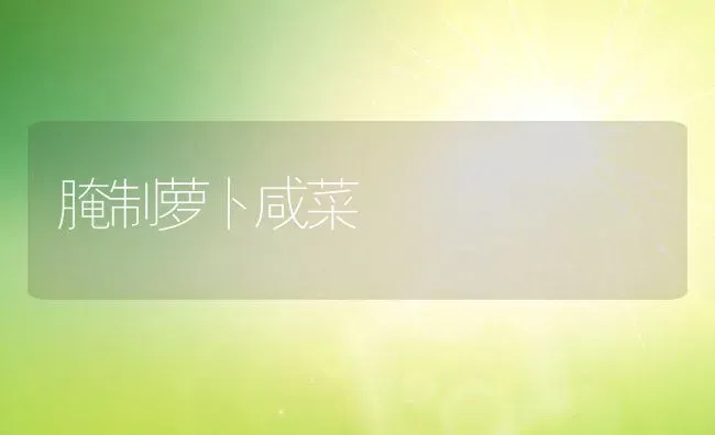 腌制萝卜咸菜 | 养殖资料投稿