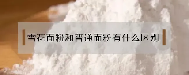 雪花面粉和普通面粉有什么区别