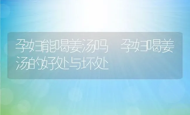 孕妇能喝姜汤吗 孕妇喝姜汤的好处与坏处 | 养殖资料投稿