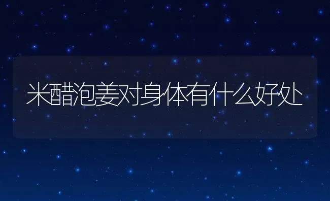 米醋泡姜对身体有什么好处 | 养殖资料投稿