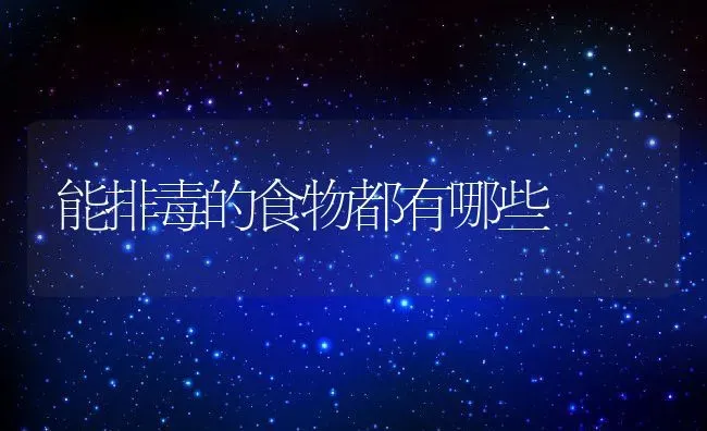 能排毒的食物都有哪些 | 养殖资料投稿