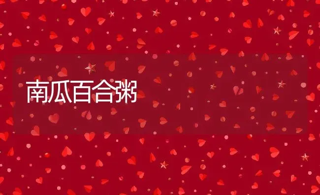南瓜百合粥 | 养殖资讯