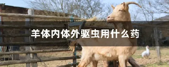 羊体内体外驱虫用什么药
