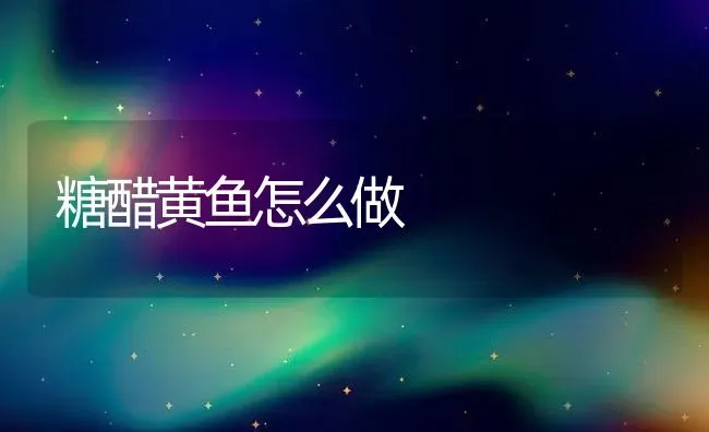 糖醋黄鱼怎么做 | 养殖资讯