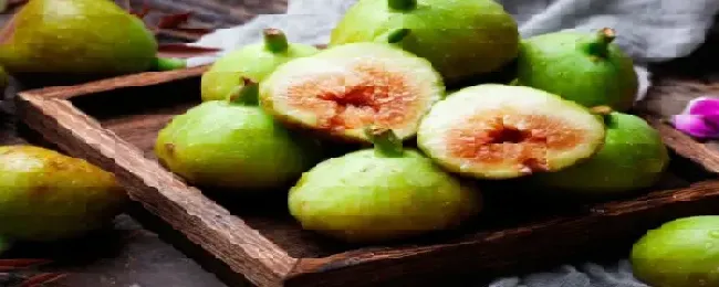 无花果几年能结果