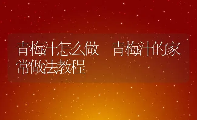 青梅汁怎么做 青梅汁的家常做法教程 | 养殖资料投稿